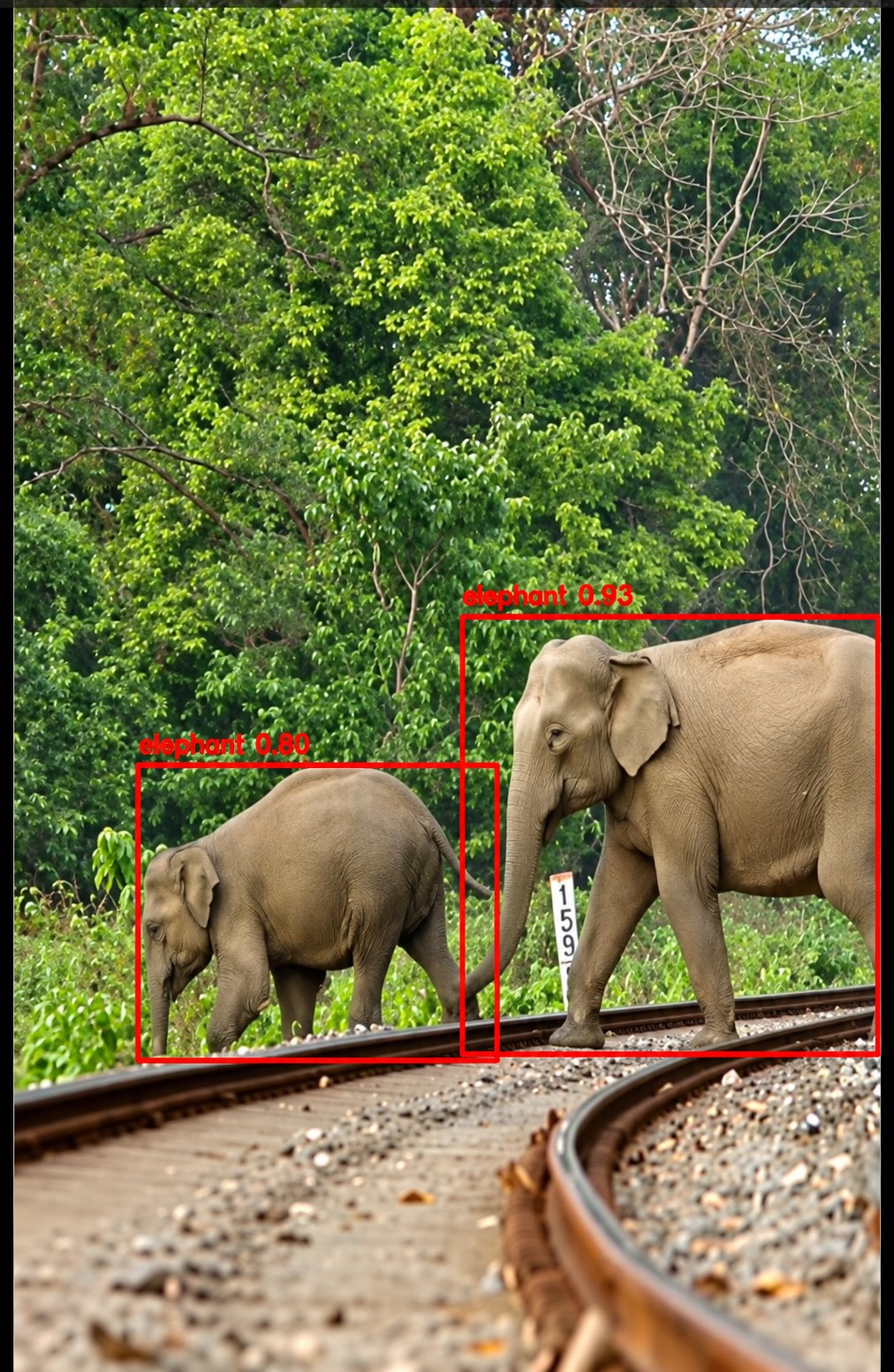 Two elephants detected and boxed while crossing a railway track bed